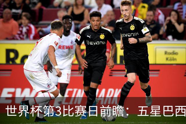 世界杯第3比赛日前瞻：五星巴西迎来非洲冠军，土耳其直面铁桶阵